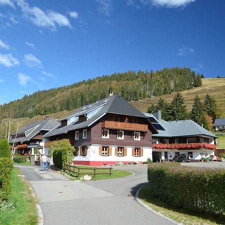 施特恩塔尔公寓 Menzenschwand-Hinterdorf 外观 照片