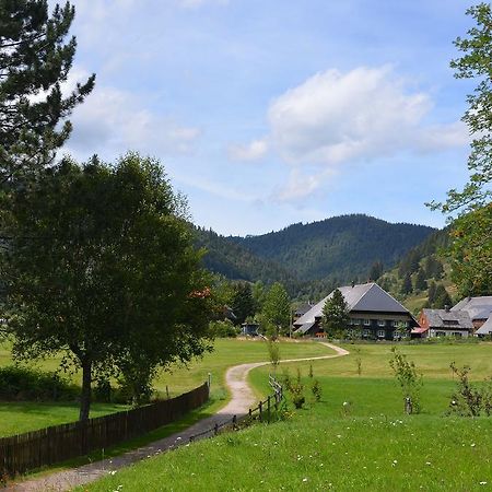 施特恩塔尔公寓 Menzenschwand-Hinterdorf 外观 照片