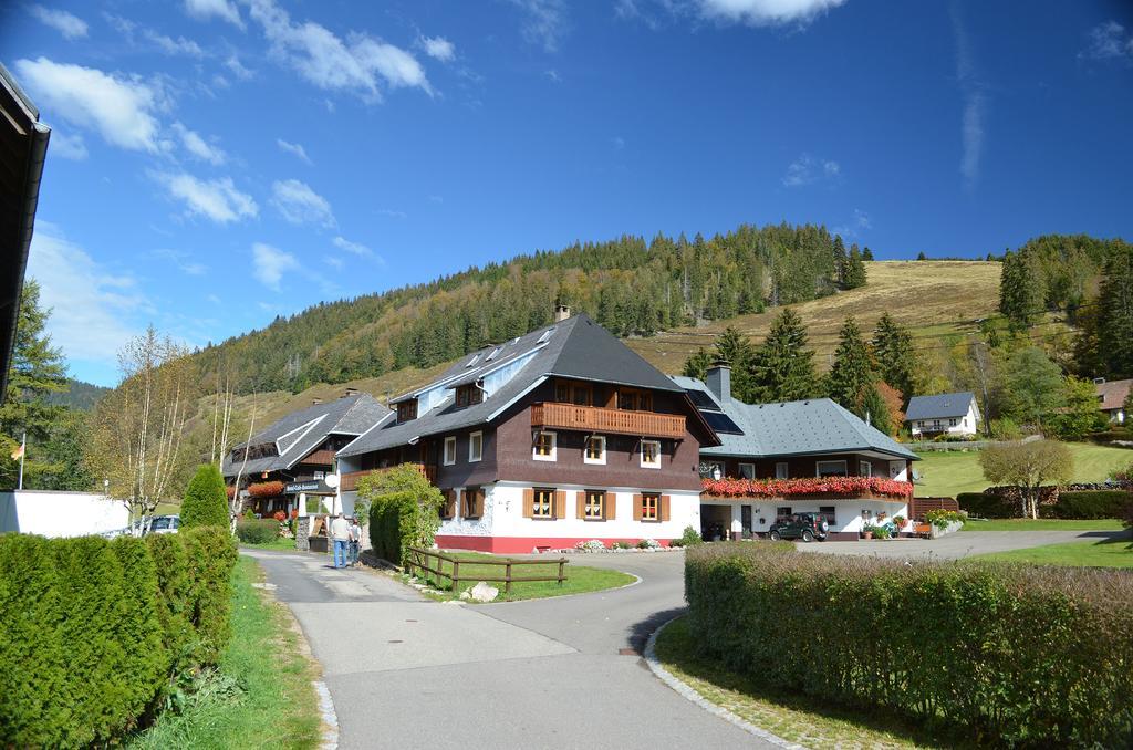 施特恩塔尔公寓 Menzenschwand-Hinterdorf 外观 照片
