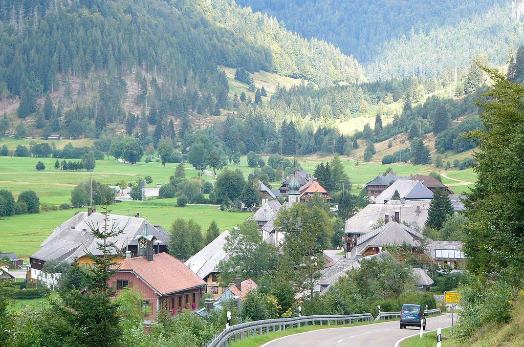 施特恩塔尔公寓 Menzenschwand-Hinterdorf 外观 照片