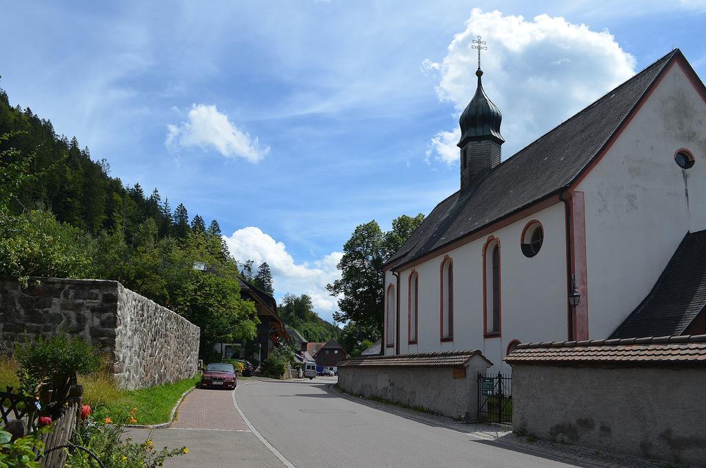 施特恩塔尔公寓 Menzenschwand-Hinterdorf 外观 照片