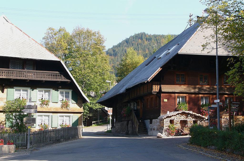 施特恩塔尔公寓 Menzenschwand-Hinterdorf 外观 照片