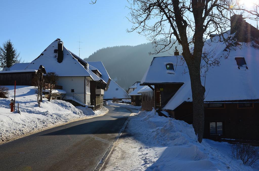 施特恩塔尔公寓 Menzenschwand-Hinterdorf 外观 照片